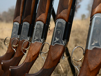 Italian shotguns ready for the day